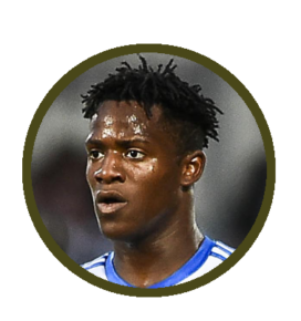 Batshuayi_fiche