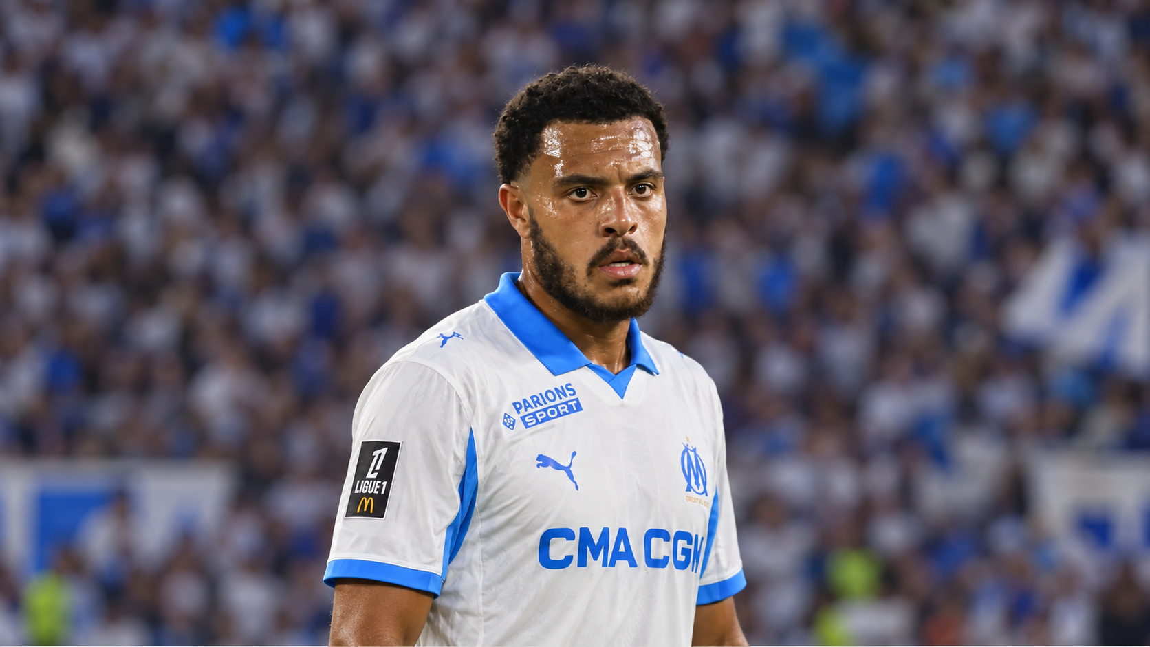 Football Club de Marseille — accueil